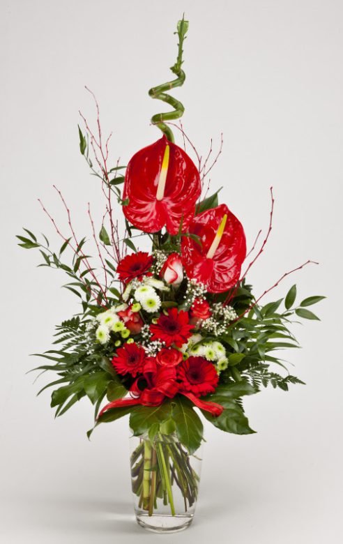 Anthurienstrauß in Rot — Blumen Kleissner Graz