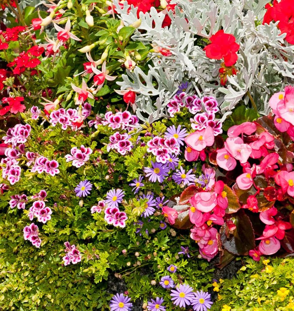 Wechselbepflanzung — Blumen Kleissner Graz