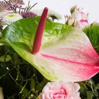 Zarte Versuchung in pink-rose, Ansicht 4 — Blumen Kleissner Graz