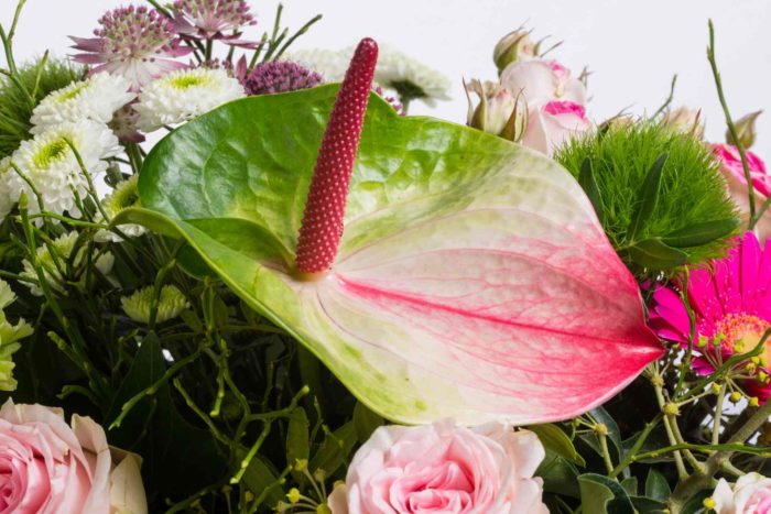 rundgebundenen Strauß von blumen kleissner