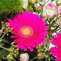 Zarte Versuchung in pink-rose, Ansicht 5 — Blumen Kleissner Graz