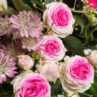 Zarte Versuchung in pink-rose, Ansicht 3 — Blumen Kleissner Graz