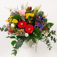 Frühlingserwachen — Blumen Kleissner Graz