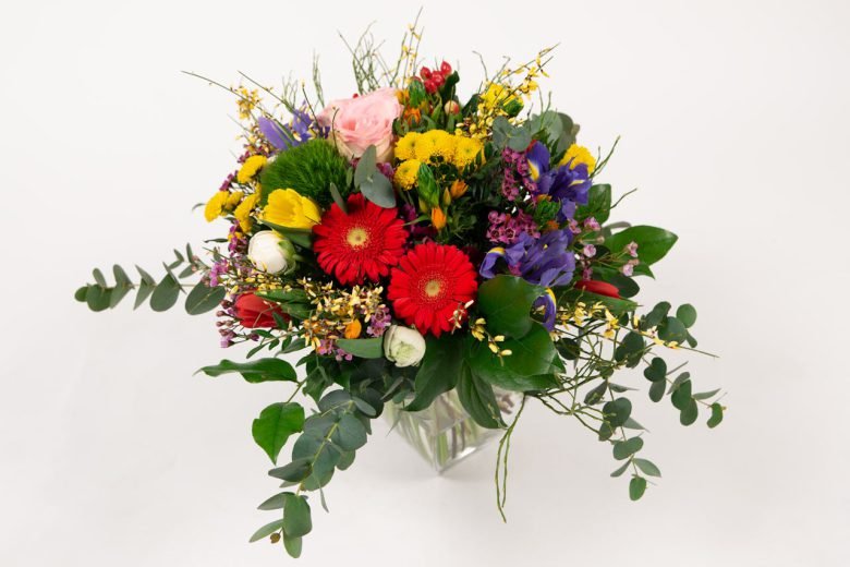 Frühlingserwachen — Blumen Kleissner Graz